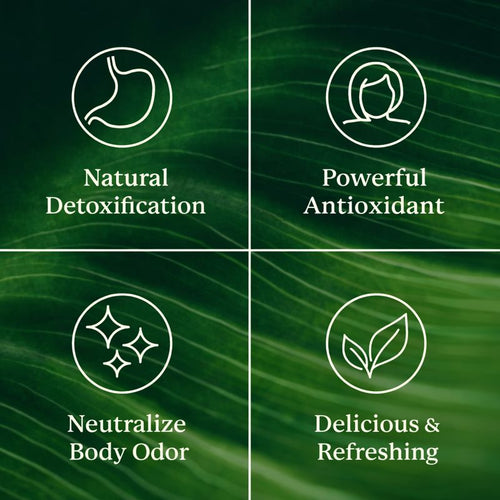 RUAHNA Chlorophyll Stick Packs